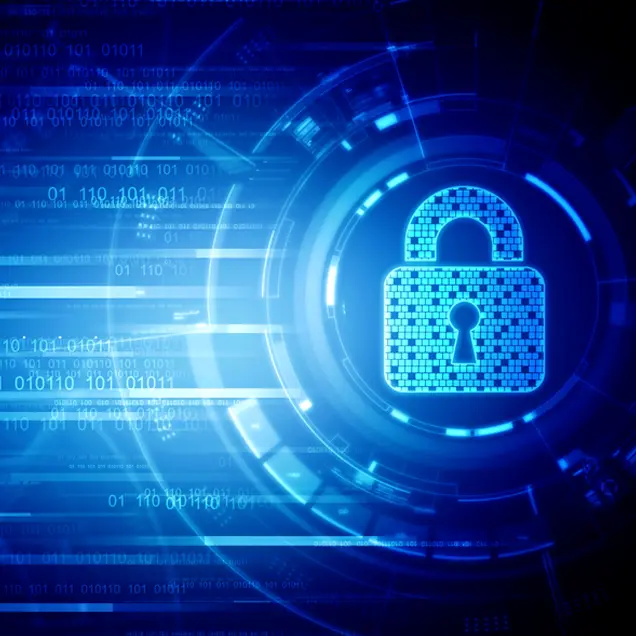 Data Warehouse Governance