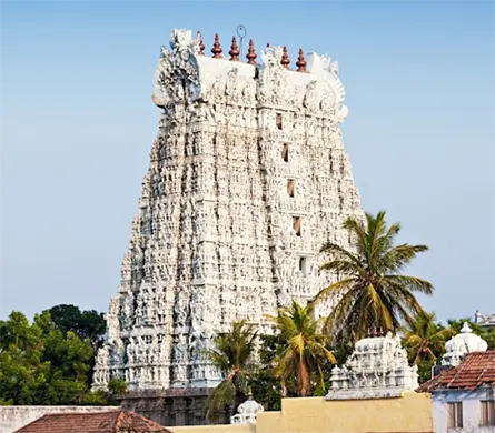 dataplatr Coimbatore