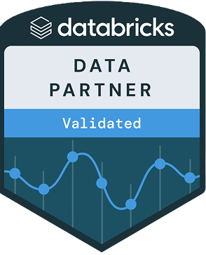 Databricks Consulting Partner